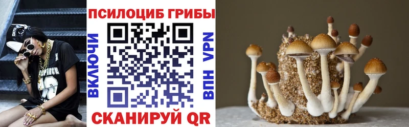 Псилоцибиновые грибы мухоморы  mega ссылка  Анапа 