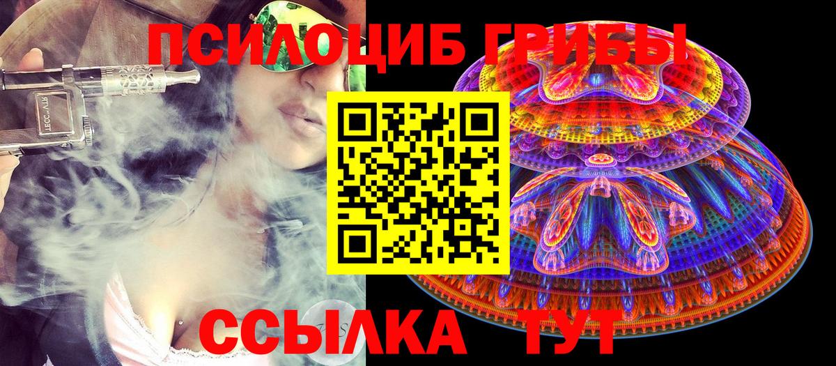 Псилоцибиновые грибы прущие грибы Анапа
