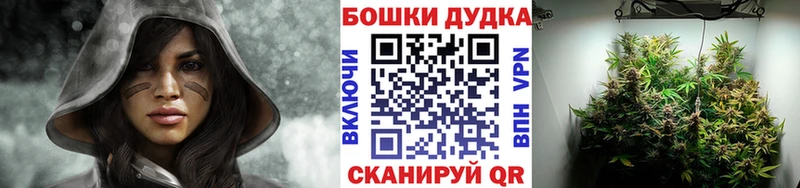 Бошки марихуана индика  ссылка на мегу как зайти  Анапа  цена наркотик 